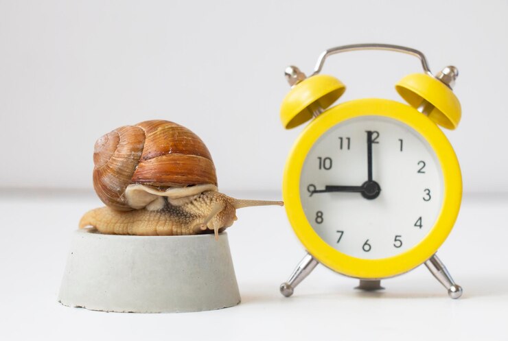 白い背景の上のスローモーションの概念として9時を示す黄色の時計の横にあるカタツムリ