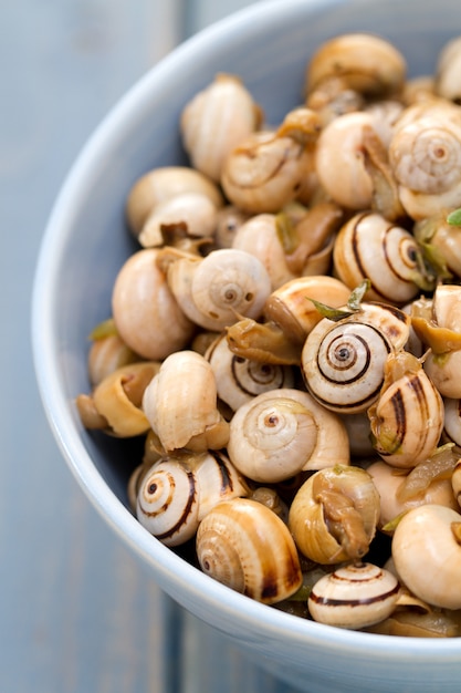 Snails in blue bowl on blue wooden background