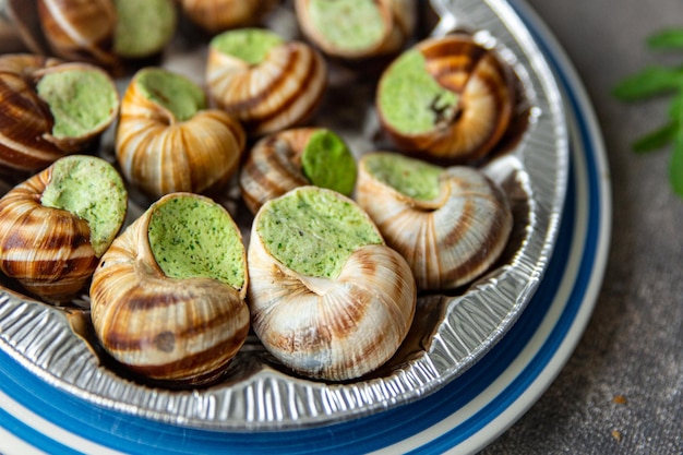 snails food green meal food snack diet on the table copy space food background