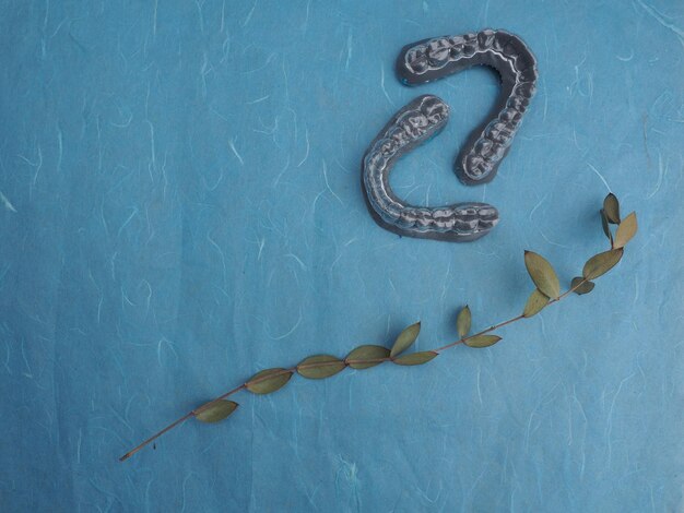 Foto un serpente su uno sfondo blu