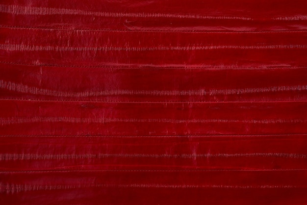 Snake leather, skin in red color