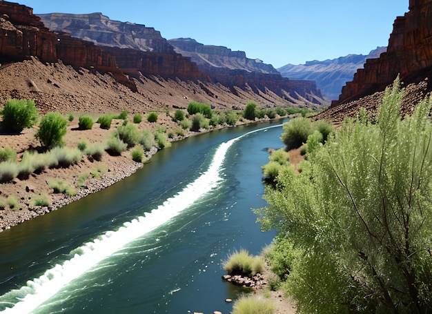 Snake River