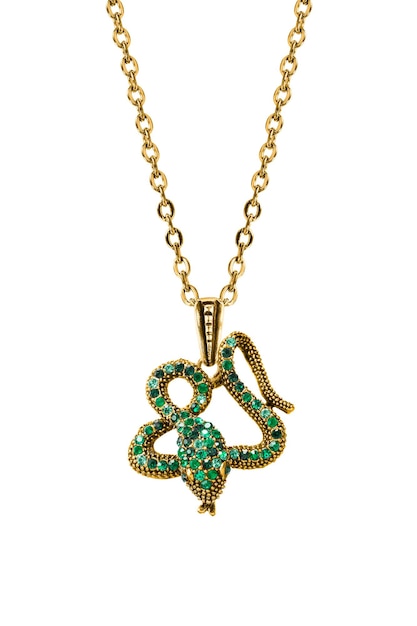 Snake shaped pendant isolated