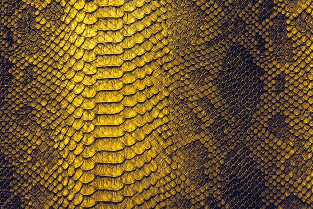 Snake skin background Close up reptile texture