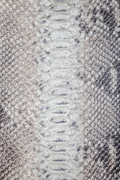 Snake skin pattern texture