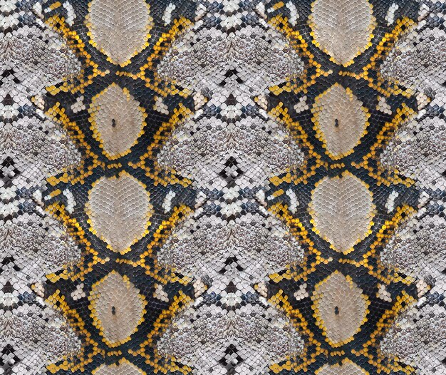 Snake skin seamless pattern