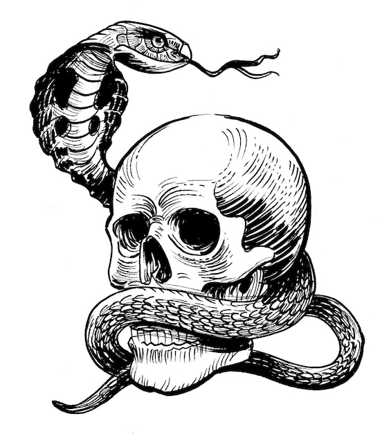 A snake on a skull with a skull in the middle.