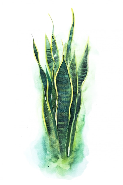 뱀 혀 식물 수채화 그림