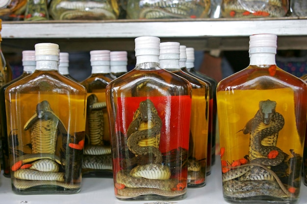 Photo snake whisky in bottles golden triangle mae sai chiang rai sob ruak northern thailand border zone asia