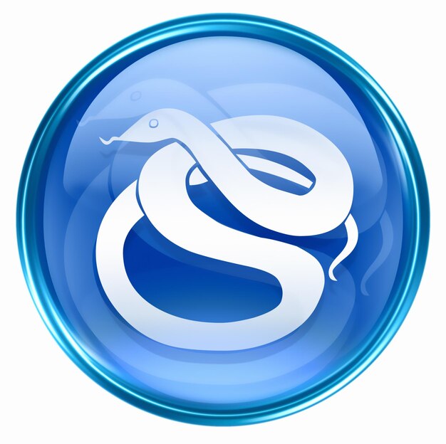 Photo snake zodiac icon blue