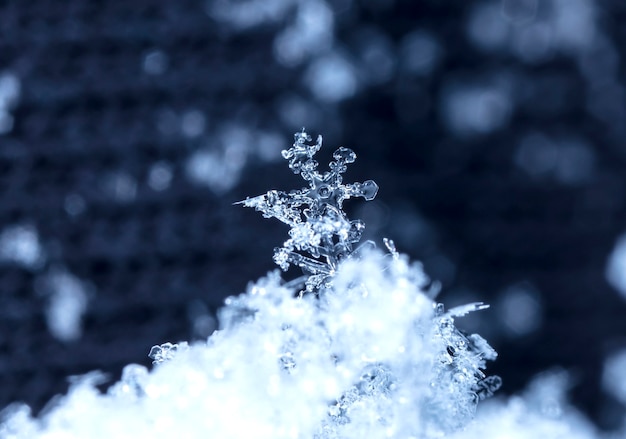 Foto istantanea di un piccolo fiocco di neve scattata durante una nevicata