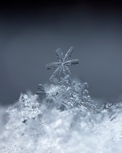 Foto istantanea di un piccolo fiocco di neve scattata durante una nevicata