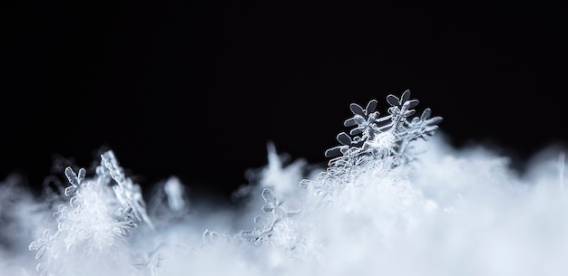 Istantanea di un piccolo fiocco di neve scattata durante una nevicata