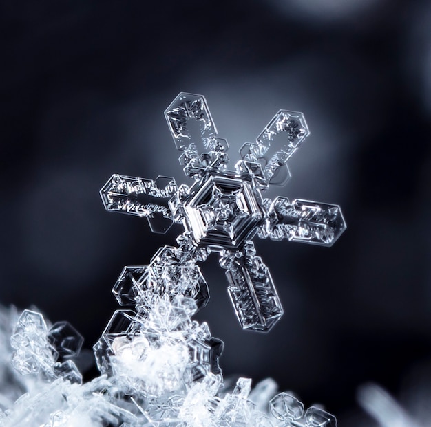 Photo snapshot of a small snowflake taken during a snowfall