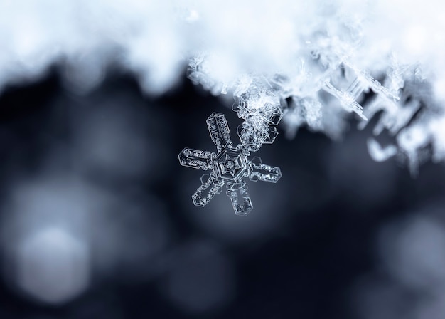 Photo snapshot of a small snowflake taken during a snowfall