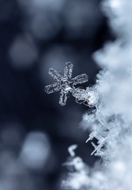 Foto istantanea di un piccolo fiocco di neve scattata durante una nevicata