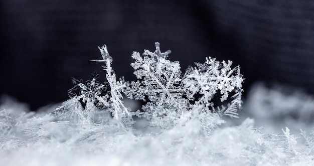 Foto istantanea di un piccolo fiocco di neve scattata durante una nevicata