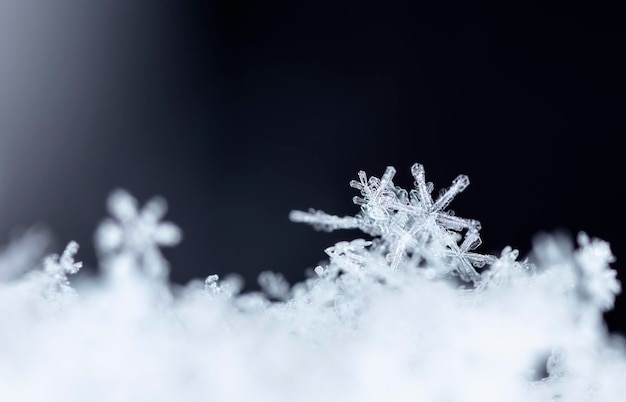 Istantanea di un piccolo fiocco di neve scattata durante una nevicata