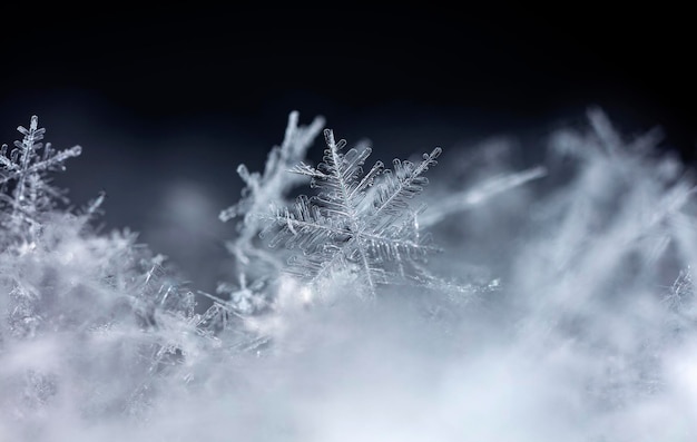 降雪の間に撮影された小さな雪の結晶のスナップショット冬休みとクリスマスの背景