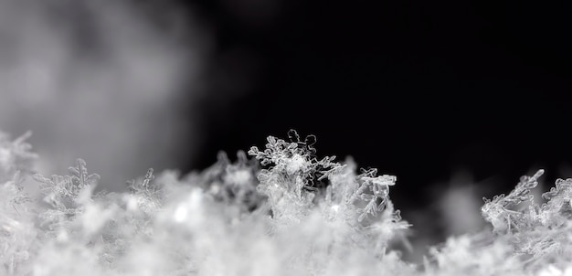 snapshot of a small snowflake taken during a snowfall