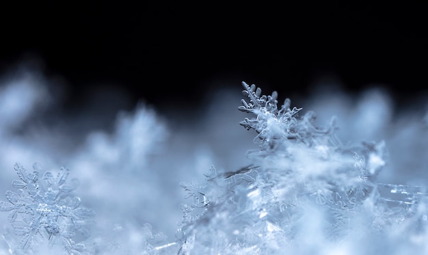 降雪時に撮影された小さな雪の結晶のスナップショット