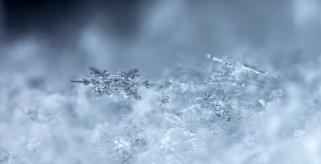 降雪時に撮影された小さな雪の結晶のスナップショット