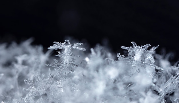 降雪時に撮影された小さな雪の結晶のスナップショット