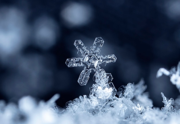 降雪時に撮影された小さな雪の結晶のスナップショット