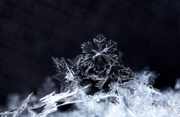 降雪時に撮影された小さな雪の結晶のスナップショット