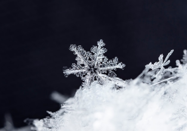 降雪時に撮影された小さな雪の結晶のスナップショット