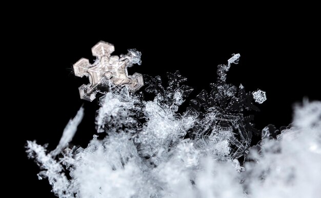 降雪時に撮影された小さな雪の結晶のスナップショット