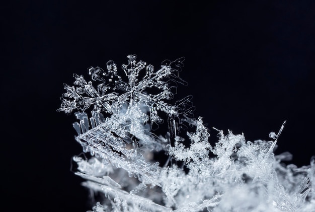 降雪時に撮影された小さな雪の結晶のスナップショット