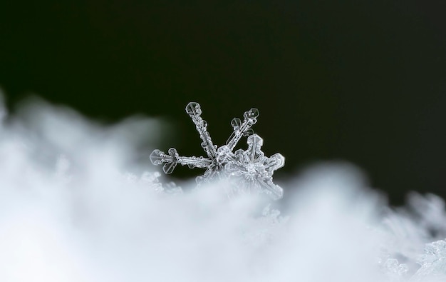 降雪時に撮影された小さな雪の結晶のスナップショット