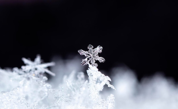 降雪時に撮影された小さな雪の結晶のスナップショット