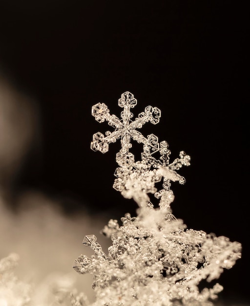 降雪時に撮影された小さな雪の結晶のスナップショット