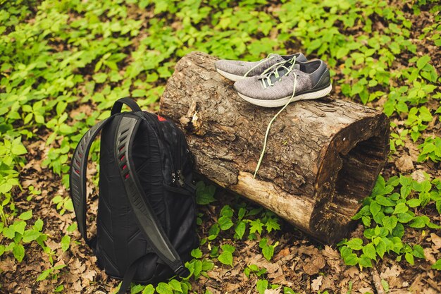 Кроссовки для бега стоя на пне с рюкзаком в лесу или парке