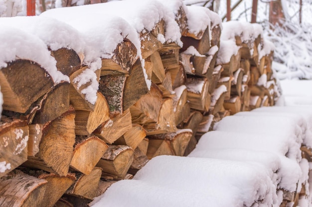 Sneeuw bedekkende boomstammen. Gehakt hout onder de sneeuw. Hardhout op besneeuwde achtertuin. Overwinteren in dorp.