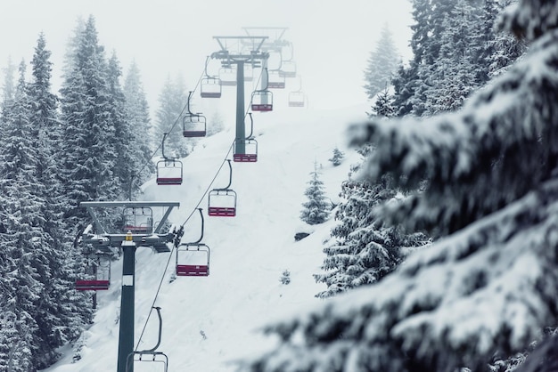 Sneeuw bedekt land en bomen tegen de berg