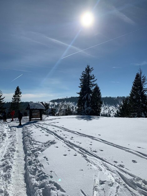 Foto sneeuw bedekt veld tegen de lucht
