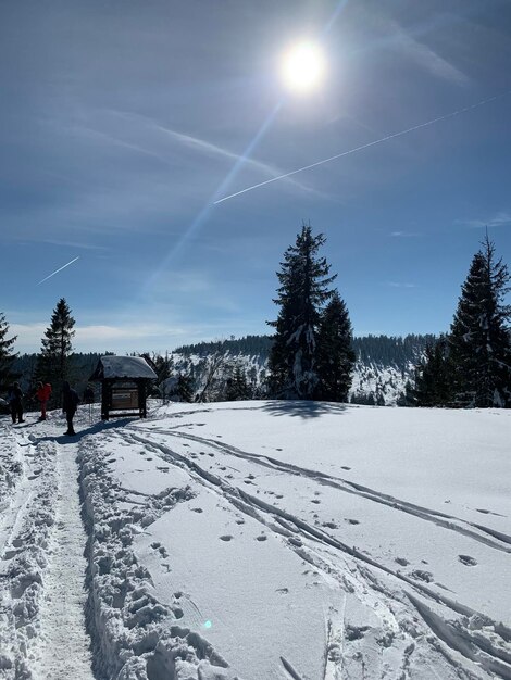 Sneeuw bedekt veld tegen de lucht