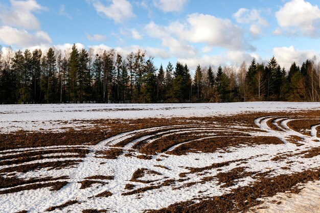 Sneeuw bedekt veld