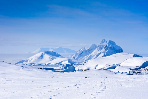 Sneeuw bedekte bergen