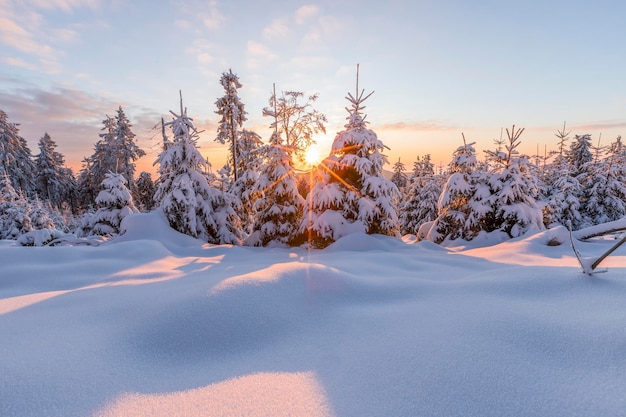 Sneeuw bedekte land en bomen tegen de lucht tijdens de winter