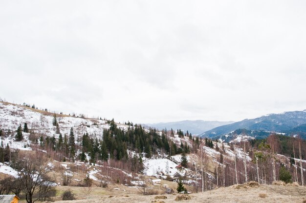 Sneeuw bergvalleien bij karpatische bergen