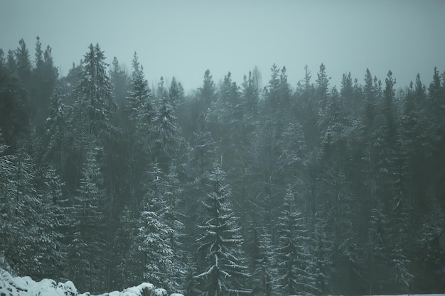 sneeuw en mist op het winterse wegenlandschap / uitzicht op het seizoensweer een gevaarlijke weg, een eenzaam winterlandschap