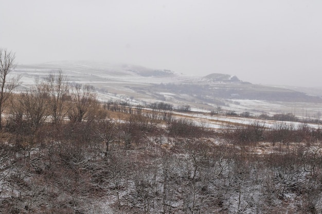 Sneeuw- en winterlandschap en uitzicht in Georgië