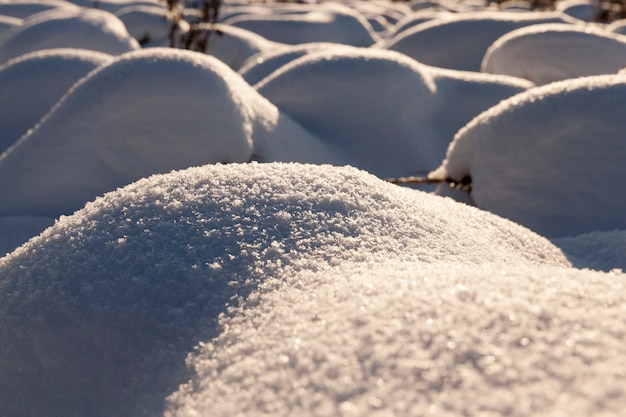 Sneeuw in de winter