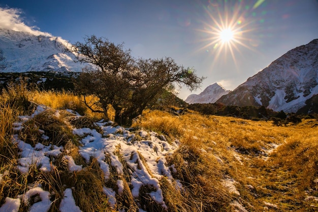 sneeuw op de grond bij Mt Cook National Park