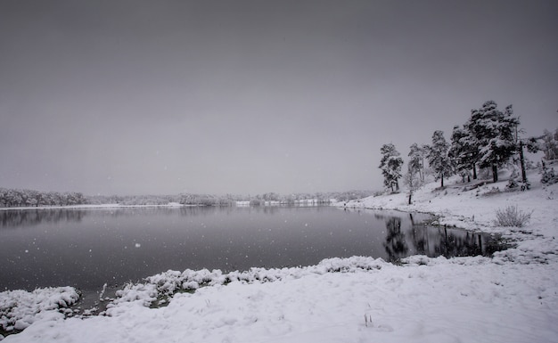 Sneeuw op de oever van het meer