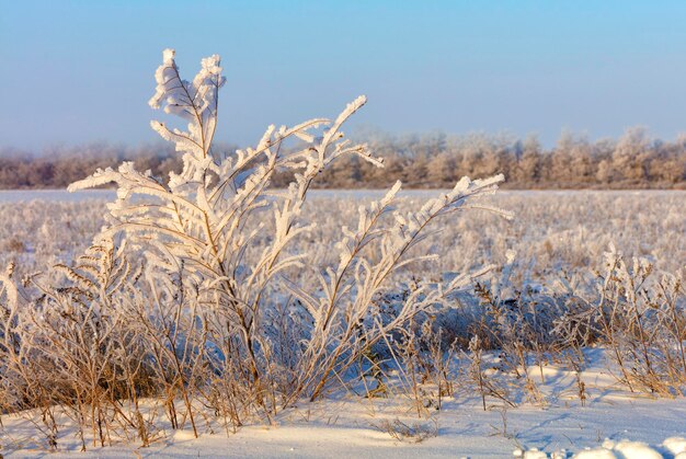 Foto sneeuw op het veld tegen de lucht tijdens de winter